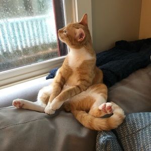 Meet your Posher, Julie